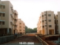 Copy of pic111 (1)