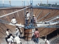 Copy of pic120