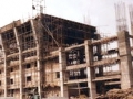 Copy of pic50