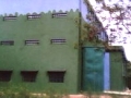 Copy of pic58
