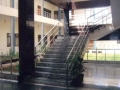 Copy of pic63