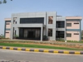 Copy of pic7