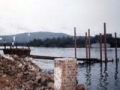 Copy of pic81