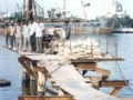 Copy of pic97