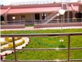 Copy of pic13
